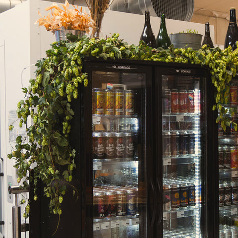 Cloudwater Unit 9 Brewery Taproom in Manchester, with freshly picked hops direct from Kent