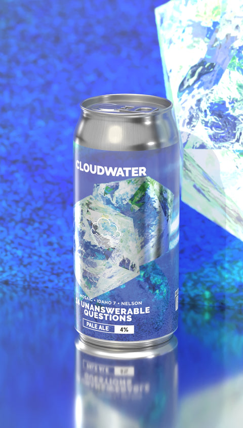 14 Unanswerable Questions | Pale Ale *last cans*
