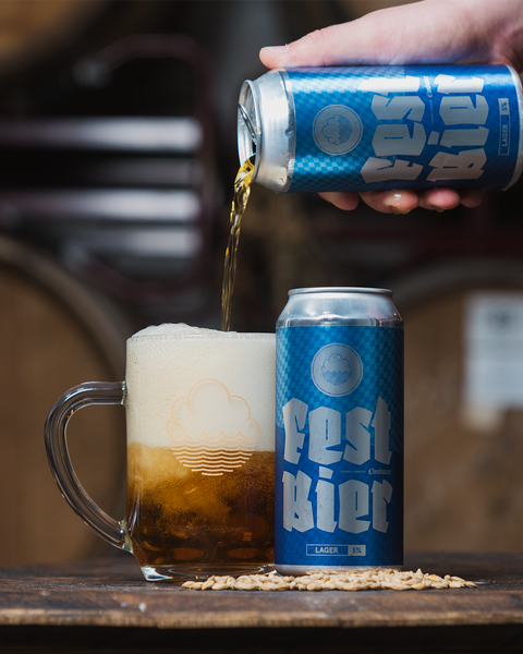 Lager Mega Mixed 12-Pack