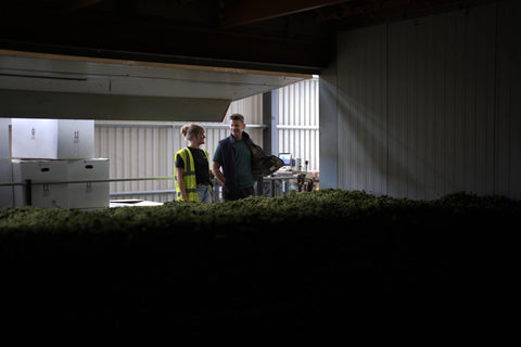 Mel Dyson of Cloudwater Brew Co, and Dave at Hukins Hop farm in Kent, looking into the machinery after the 2025 hop harvest. In the foreground is a veritable cornucopia of hop flowers. Cloudwater Brew Co visited Hukins for their 2025 hop harvest and created a fresh hop beer with the Challenger variety