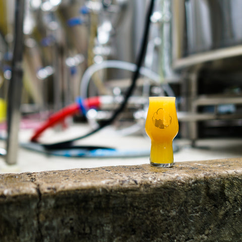 Craftmaster 19cl Taster Glass
