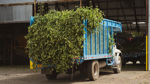 Hop Selection in Oregon with Jay of Cloudwater Brew Co, 2025