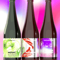 Cloudwater 2025 Barrel Project Festive Releases. 6x 375ml mixed beers; 2x Mosaic DDH Foudre Ale, 2x An Embrace Chuckleberry Wild Sour Ale and 2x Something Unfamiliar Soju Wild Sour Ale