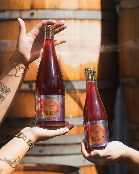 No One Left To Follow | Barrel-Aged Sour with Cherry