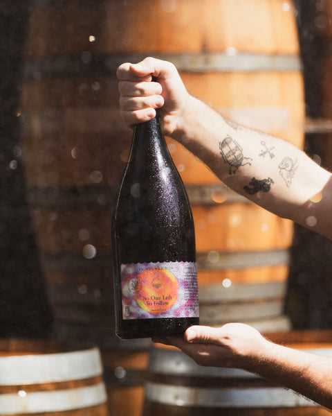 No One Left To Follow | Barrel-Aged Sour with Cherry