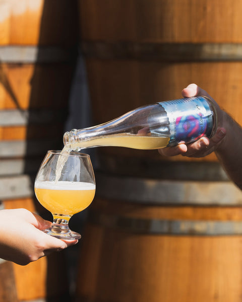 Positive Education | Barrel-Aged Sour with Nectarine
