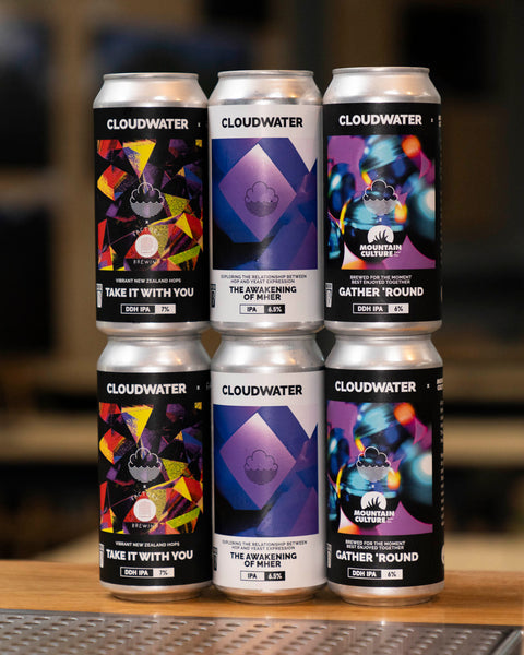 Mixed DDH IPA 6-Pack