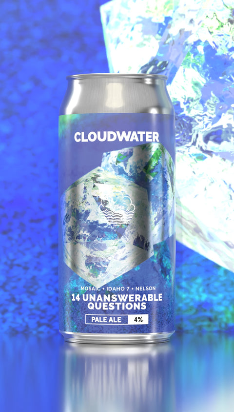 14 Unanswerable Questions | Pale Ale