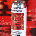 A Sound Unseen Fruit Sour with Raspberry & Rhubarb by Cloudwater Brew Co