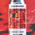 A Sound Unseen Fruit Sour with Raspberry & Rhubarb by Cloudwater Brew Co
