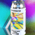 Eternal Bird Sings DDH Pale from Cloudwater Brew Co, featured in the hazy mixed 4-pack Seeing Double