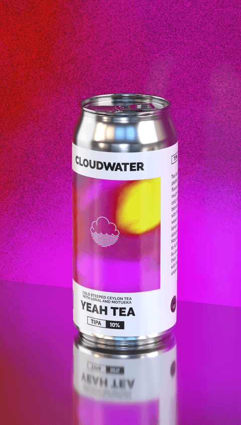 Seeing Double 4-Pack
