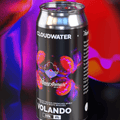 We welcomed our friends Tripping Animals from Miami to collaborate on a big fruit-forward DIPA, Volando is the result, available in our hoppy mixed pack