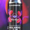 We welcomed our friends Tripping Animals from Miami to collaborate on a big fruit-forward DIPA, Volando is the result