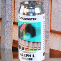 A nod to our past as we look to the future. Introducing Aleph 1, a development on our 2023 Pale Ale Concrete Jungle. Co-fermented with our house blend X Pomona yeast, alongside a hop combo of Enigma, Luminosa, Talus, Strata and Nectaron T90, builds a foundation of rich lychee, ripe mango and sweet cotton candy all seamlessly blended into a classic smooth and hazy body.