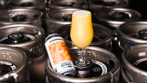 Hooked On Nectaron | DDH IPA