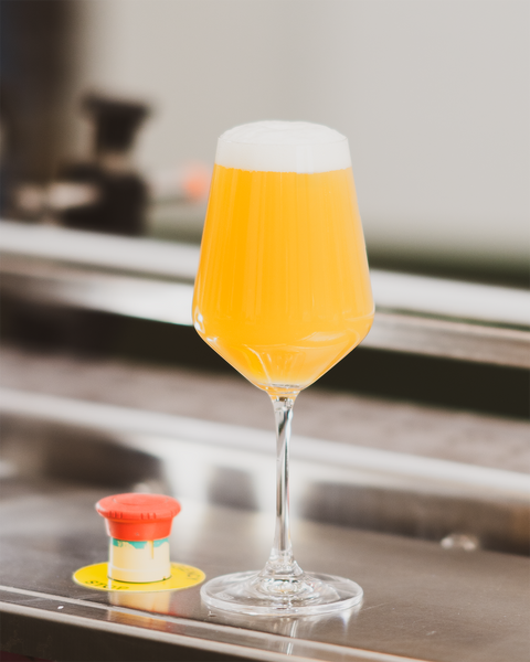 Restart In Safe Mode | Triple IPA