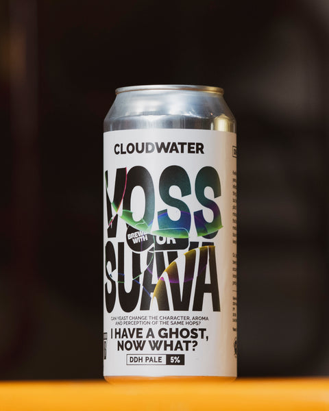 Voss or Suava? | DDH Pale Ale Mixed Pack