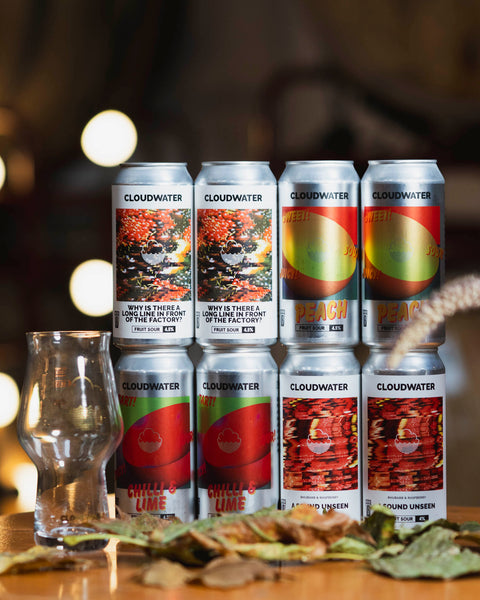 Fruity Beer Gift Pack with Craftmaster Glass (8-Pack)