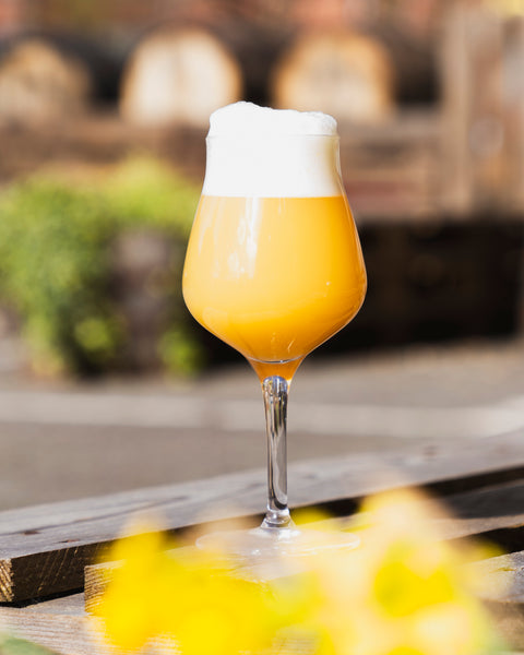 The Ritual Continues | DDH Pale